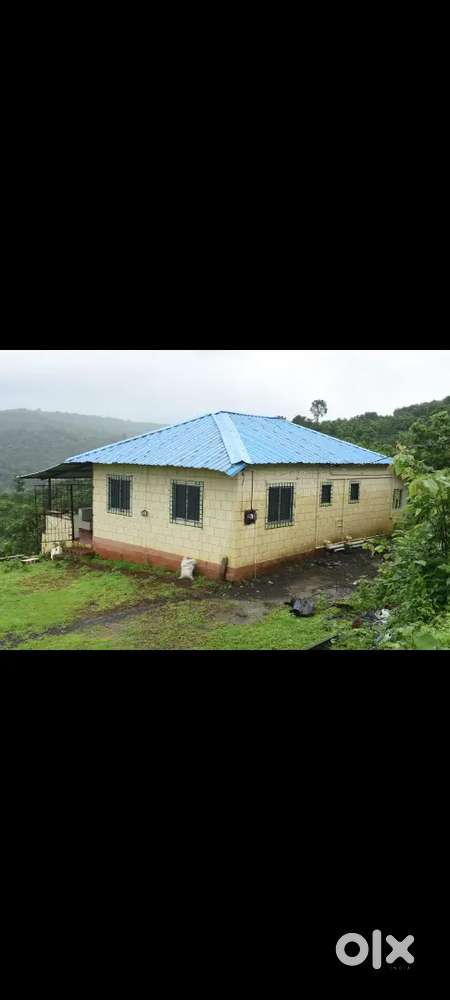 5 acar land Kaju bag 450 tree farm house ratnagiri ukshi