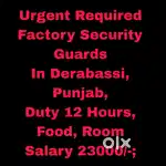 Factory Security Guard Job Derabassi