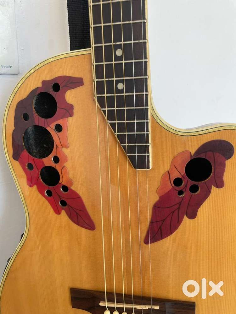 Semi Acoustic Guitar
