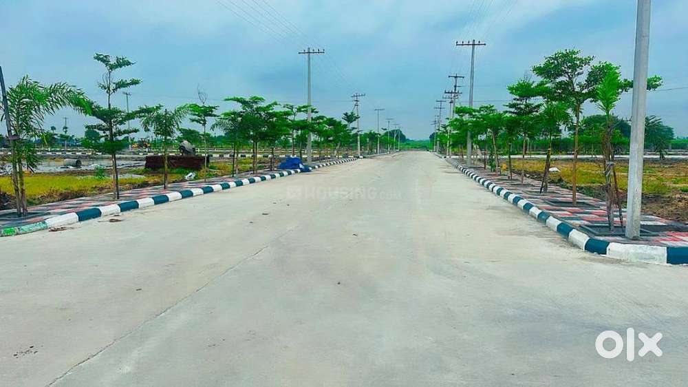 Budget Friendly Approved Sites