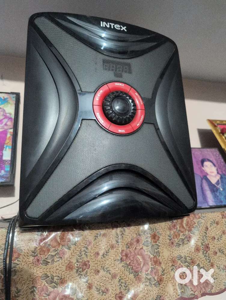 Intex woofer