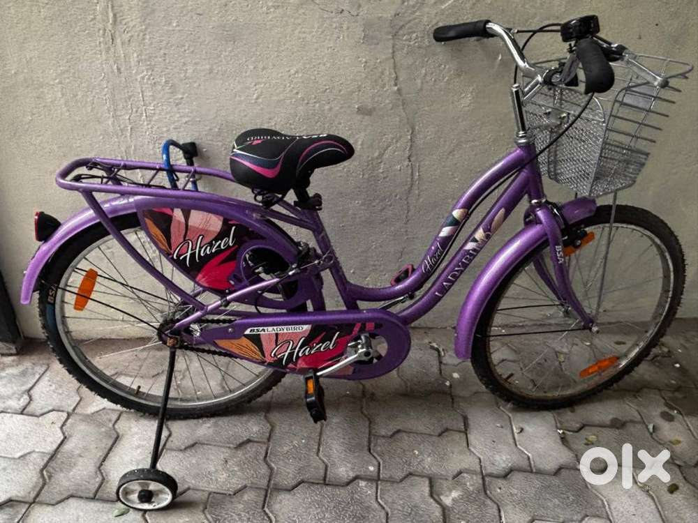 ‍️ Kids Girls Bicycle For Sale – 4 Months Old !