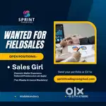Field Sales Girl