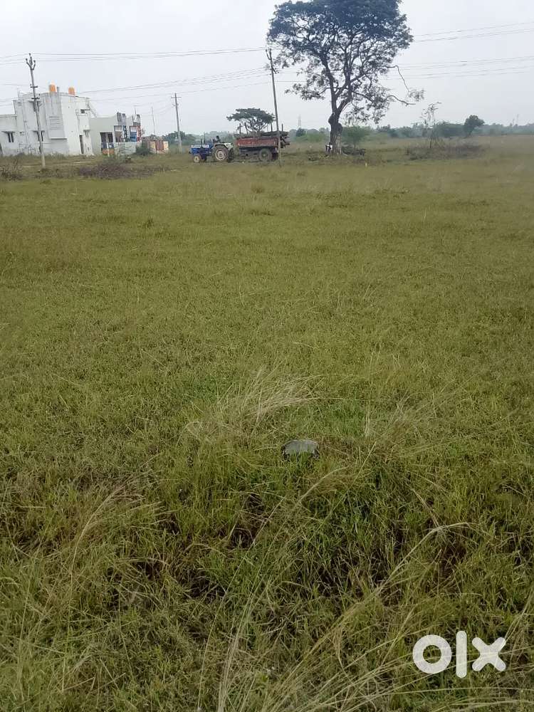 DTCP Approved plot for sale in veppampet