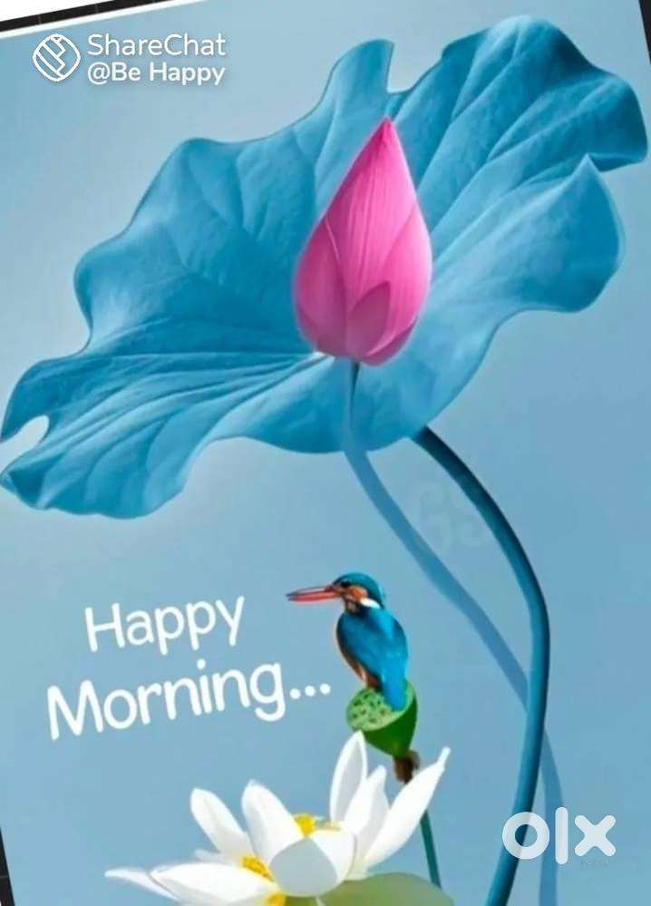 Pratap nagar ya Ramnagar me