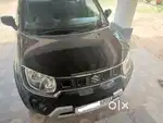 Maruti Suzuki Ignis 2024 Petrol 13000 Km Driven