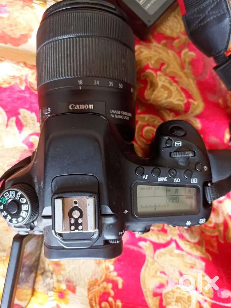 Canon 80D model