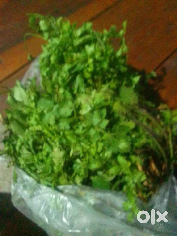 Dukan me baithna aur sabji dilivery Krna hai