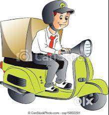 parcel delivery boy