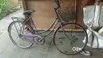 Lady Bird bycycle