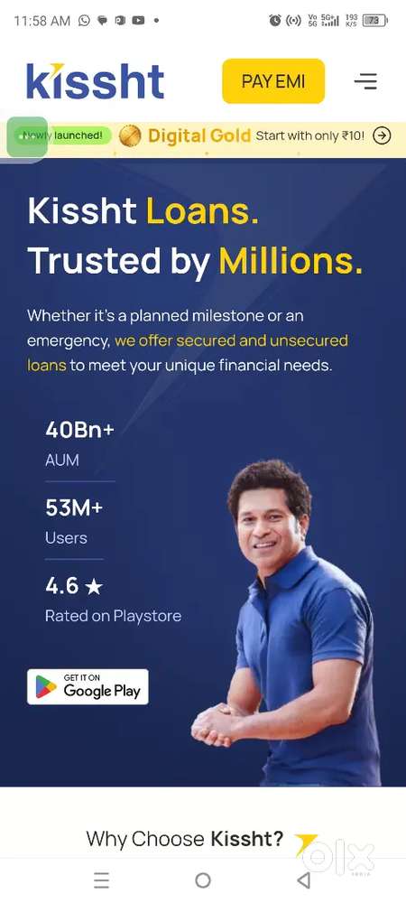 Collection Executive