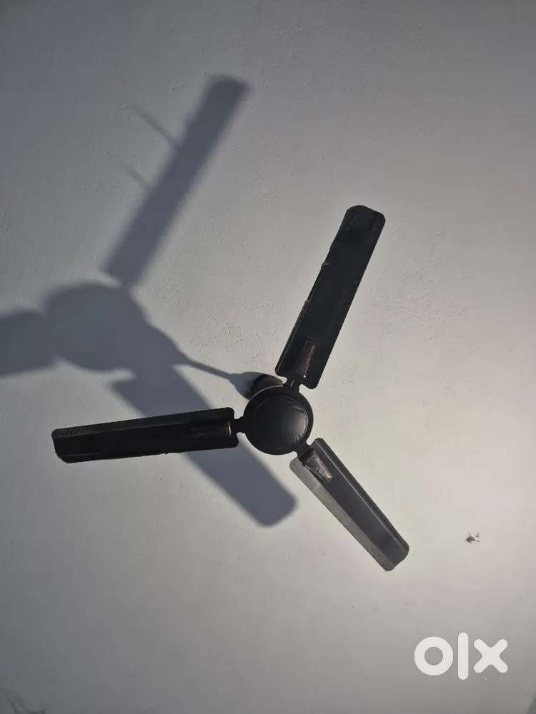 Ceiling fan