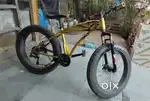 GOLDEN FAT TYRE CYCLE