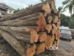 Teak wood 40 to 80 inch