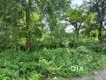 Generl plots for Sal in ranchi road redama