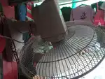 Wall fan for wall