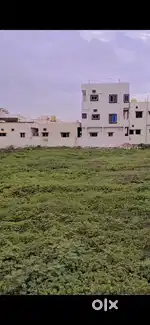 Commercial Plot 8000 Sq ft
