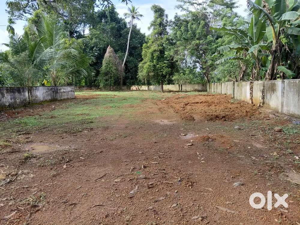 Kottayam. S. H. Mount. PWD Road side. 35 cent.