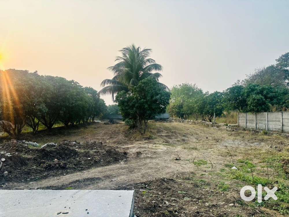 Near kasarsai dam , nature beauty plot