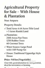 Agricultural Property for Sale – With House & Plantation