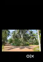 Residential Plot