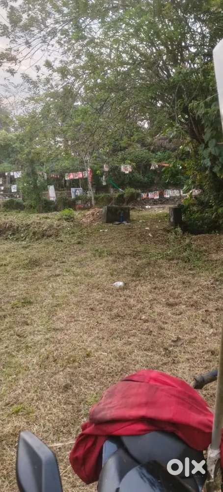 Adoor Vadakkaduthu kavu 152 Cent land in 10 Cents plot for Sale