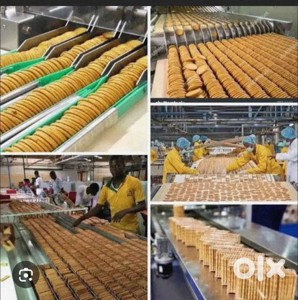 Biscuit factory packing job