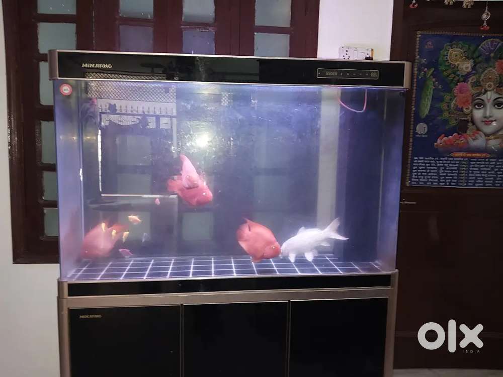 Rent ke liye only girls  ,small family ho