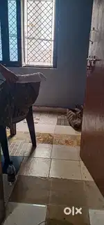 One single room