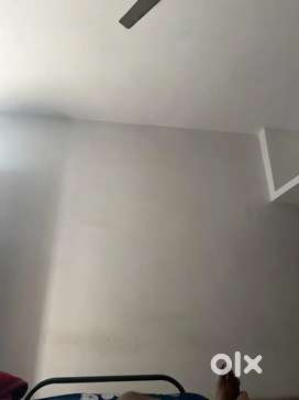 Need roommates