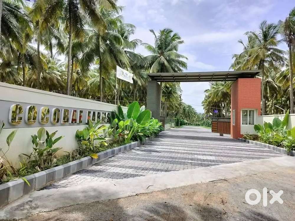 தென்னை மரம் உடன் கூடிய அழகிய பண்ணை நிலம் விற்பனைக்கு