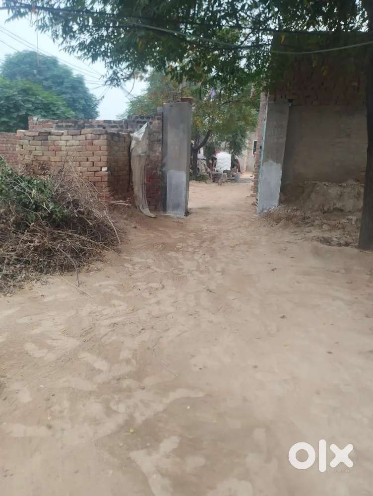 Village Behniwal mansa Punjab