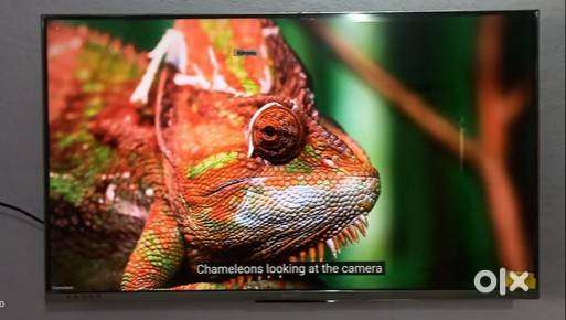 Xiaomi TV 5X 43 Metallic Grey