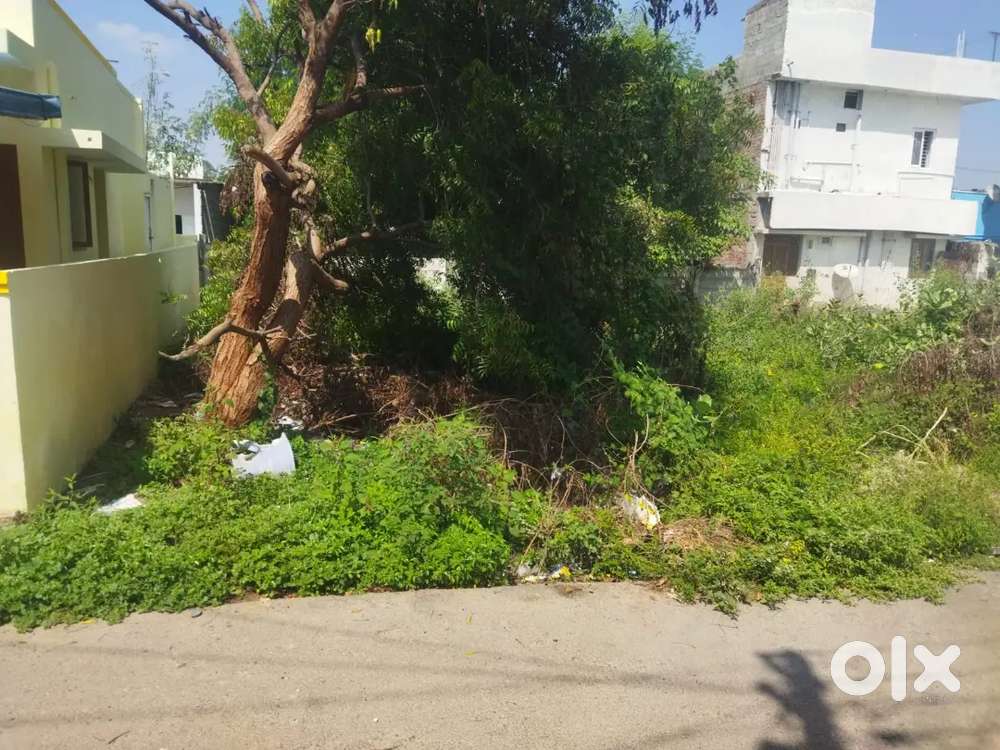 சிறந்த முதலீடு! யாசின் பாபு நகரில் 2.75 சென்ட் வீட்டு மனை (பேசலாம்)