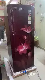 LG refrigerator- single door