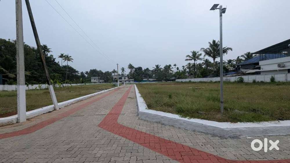 Angamaly–Kidangoor Prime Residential Villa Plots Non-Flooded Free Reg.