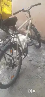 ROCK RIDER