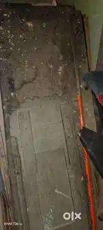 Sagwan Wooden door