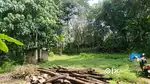 16 cent land for sale
