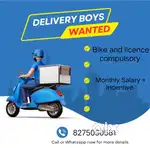 Wanted Delivery Boy - Athwa Gate