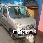 Good Condition Cat