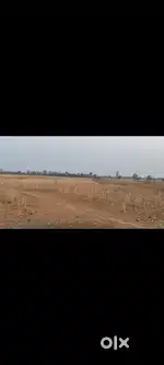 Beeda semaria road  godha me 14.83 akre jameen nahar se lagi hui kheti