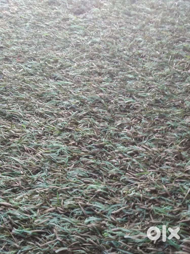 Agriculture//Plot Available For Farm House
