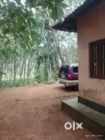 ഒറ്റ നില വീടും റബർ എസ്റ്റേറ്റും