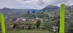 Farm land 21 cent