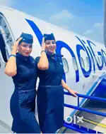 Hurry up vacancies for Ground staff near airport apply fast