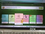 Government portal work