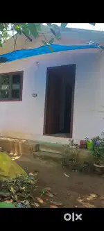 20 cent land & house