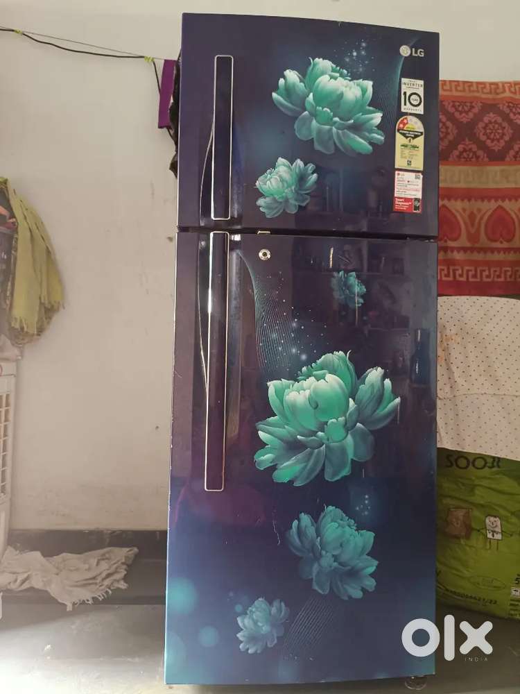Fridge one year old