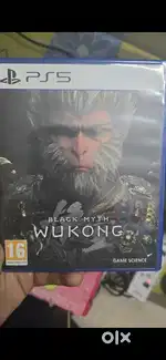 Black myth wukong ps5 game